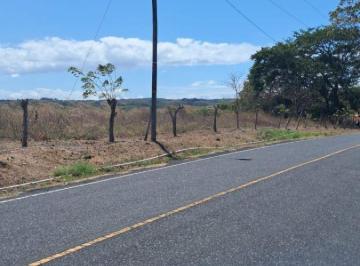 Terreno / Lote , San Carlos · Venta de Terreno en San Carlos Chr