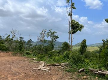 Finca , Capira · Venta de Finca en Cerro Cermeño, Capira, 9 Hectáreas