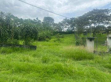 Terreno / Lote , Chame · Se Vende Terreno en Buenos Aires, Chame, Carretera Hacia Altos del Maria