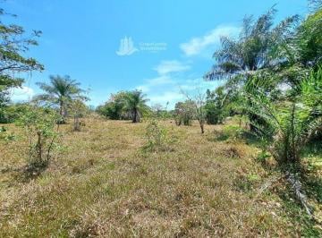 Finca · 250000m² · Alquilo/ Finca de 25 Ha + Cochea