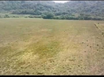 Finca · 370000m² · Vendo Finca de 37ha San Pablo Viejo