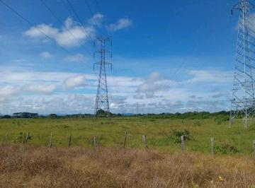 Finca · 730000m² · Vendo 73ha Tituladas Gualaca