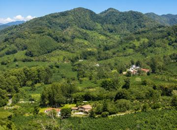 Terreno / Lote , Boquete · Lote 11 en La Cima de The Springs en Venta en Palo Alto, Boquete – Cerca del Centro de Boquete