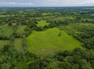 Terreno / Lote , David · Terreno de Alto Potencial Para Desarrollo – Montilla