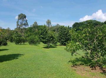 Terreno / Lote · 70000m² · 1 Recámara · Venta Finca 7 Ha en Sora Camino a Altos del Maria Via Principal