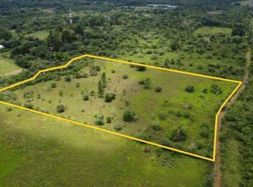 Terreno / Lote , Dolega · En Venta Terreno Para Desarrollo Residencial o Lotes