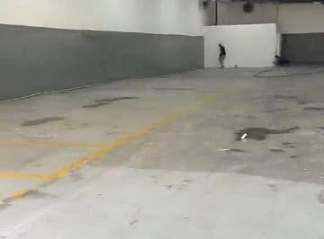 Bodega-Galpón-Depósito , Panamá · Alquilo Centrica Galera en Santa Elena 500 m²