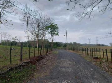 Finca · 200000m² · Finca en Panamá Oeste La Chorrera 20 Hectáreas Titulada