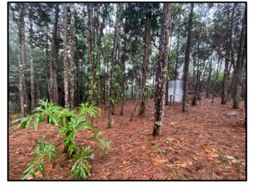 Terreno / Lote en Venta  Cerro Azul · Se Vende Terreno en Altos de Cerro Azul 3,069 m²