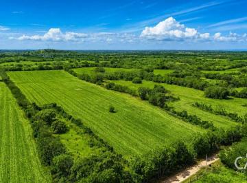 Terreno / Lote , Las Tablas · Oferta Combinada de Fincas de 19.7 Hectáreas en Venta en Los Santos, Panamá