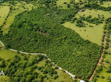 Terreno / Lote , Dolega · Extenso Terreno en Venta en Dos Ríos, Dolega, Chiriquí