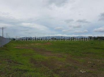 Bodega-Galpón-Depósito , Panamá · Alquiler de Galera en Tocumen