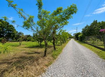 Terreno / Lote , Dolega · Hermoso y Asequible Lote Plano Para Construcción en Venta en Potrerillos Abajo, Chiriquí