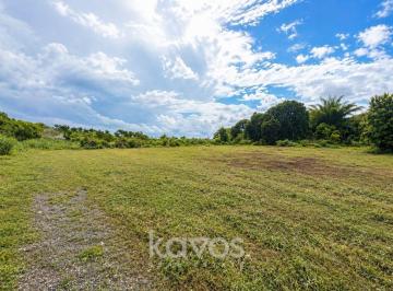 Terreno / Lote · 15000m² · Terreno - Mañanitas - Venta