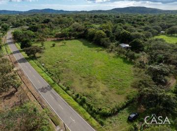 Terreno / Lote , Dolega · Terreno Plano y Versátil en Venta con Acceso por Vía Pavimentada en Cochea Abajo, David
