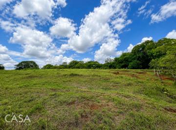 Terreno / Lote , David · Lote en Venta en Montilla, San Pablo Viejo, David
