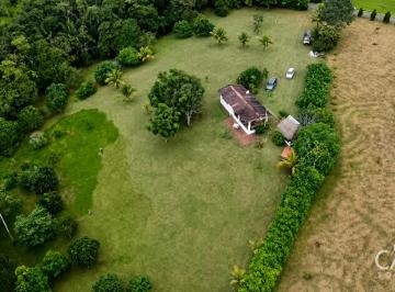 Terreno / Lote , La Chorrera · Amplia Propiedad con Arboles Frutales y Una Casa en Venta en Hacienda San Domenica, La Chorrera