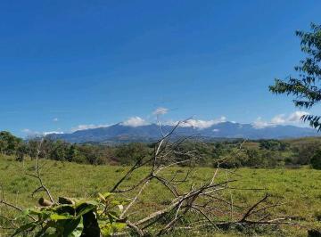 Finca · 120000m² · Vendo Finca de 12 Ha Planas en Gualaca