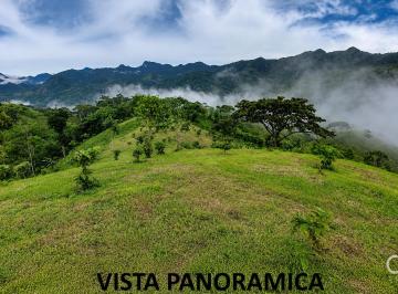 Terreno / Lote , Capira · Finca Cafetalera Titulada de 4.07 Hectáreas en Yerbabuena, Capira, Panamá Oeste