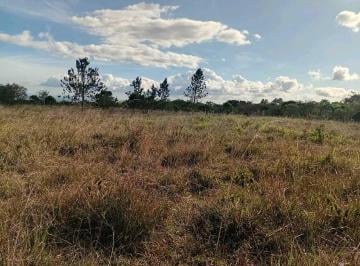 Finca · 40000m² · Vendo Finca 4ha Potrerillos.
