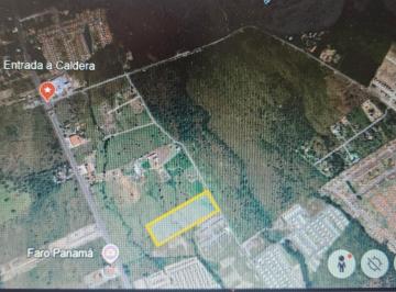 Terreno / Lote Venta 40000m² · Se Vende Terreno de 4 Hectares