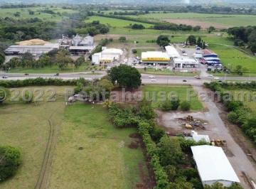 Finca , David · Venta Finca David Chiriqui Elp 27 - 788