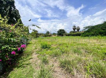 Terreno / Lote , Gorgona · Venta de Terreno en Gorgona Abs