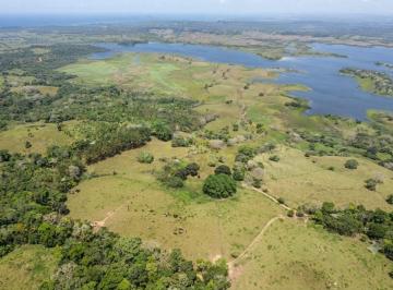 Finca , La Chorrera · (04) Venta de Exclusiva Finca de 424,667.20 M²con 2.8 Km de Frente Al Lago Gatún | La Chorrera
