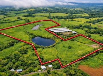 Finca , La Chorrera · (04) Finca Productiva con Lagos Internos en Mendoza, La Chorrera | 216,160.30 m² Listas Para Operar