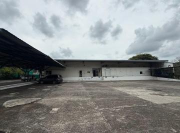 Bodega-Galpón-Depósito , David · Galera con 200 m² de Cuarto Frío en Alquiler – Perfecta Galera Logística – David, Av Red Gray