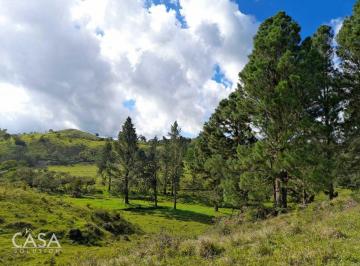 Terreno / Lote , Volcan · Reducción de Precio! Propiedad Para Desarrollo de 133 Acres en Venta en Volcán, Chiriquí