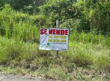 Terreno / Lote , San Carlos · Se Vende Propiedad en El Higo de San Carlos