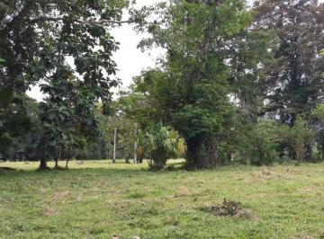 Finca de 2 habitaciones, Barú · (A. B.)inversión Excepcional en Chiriquí: Finca con Infraestructura Completa y Suelos Premium