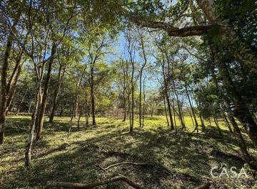 Terreno / Lote , Dolega · 2 Hectáreas de Terreno Plano en Venta en Potrerillos Abajo, Dolega, Chiriquí