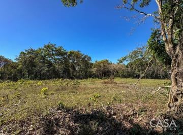 Terreno / Lote , Dolega · 5,000 m² de Terreno en Venta en Potrerillos Abajo, Dolega, Chiriquí