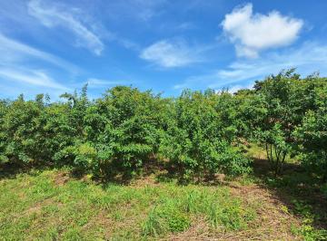 Terreno / Lote · 10000m² · Penonome a 10 Min de Via Panamericana / Jc