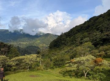 Finca , Boquete · En Venta Finca Cafetera y Forestal, Alto Lino, Boquete, Chiriqui