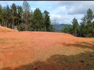 Terreno / Lote , Cerro Azul · Vendo Terreno de 1425 m² en Cerro Azul