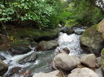 Finca de 1 habitación, Chepo · Finca 140 Hectáreas Lista Para Trabajar 4 Lagos Agua Suficiente