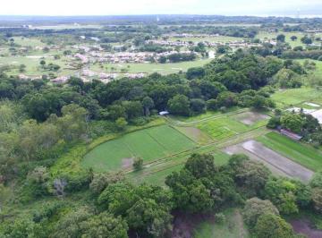 Finca · 260000m² · Venta Finca 26 Ha Alado de Playablanca Inversion y Oportunidad