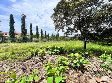 Terreno / Lote , Gorgona · Venta de Terreno Gorgona Abs