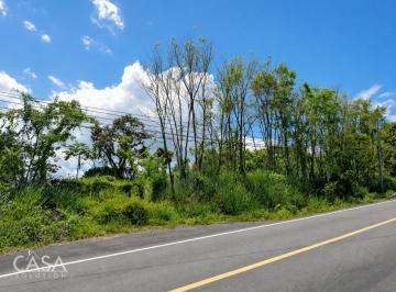 Terreno / Lote , Bugaba · Gran Lote en Venta en La Vía Principal Hacia Volcán, Junto Al Río Guígala