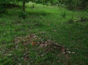 Terreno / Lote , Penonomé · Ganga Vende 5000 m² en Aguas Blancas de Penonomé - Coclé