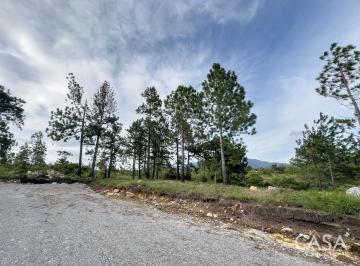 Terreno / Lote , Boquete · Lote de 2,154 m² con Pinos Maduros en Venta en Alto Boquete