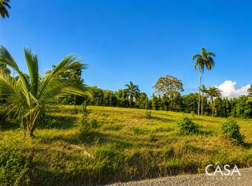 Terreno / Lote , Bugaba · Lote Tropical Plano en Venta en La Concepción, Bugaba