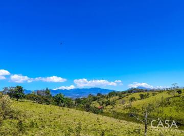 Terreno / Lote , Renacimiento · 15 Hectáreas de Terreno en Venta en Río Sereno, Chiriquí, Vistas a Las Montañas y Potencial Agrícola