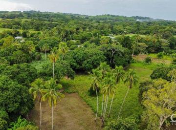Terreno / Lote , Chitré · Lote de 1,500 m² en Venta en Guanico Abajo, Provincia de Los Santos
