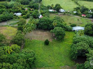 Terreno / Lote , Chitré · Propiedad de 3,000 m² en Venta en Guanico Abajo, Provincia de Los Santos, Panamá