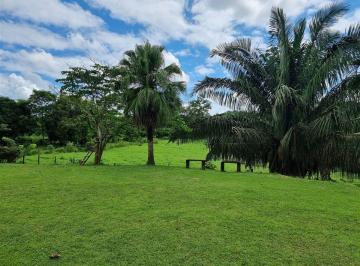 Terreno / Lote , Arraiján · Más de 12 Hectáreas de Hermoso Terreno en Venta Cerca de Nuevo Emperador, a Una Hora de La Ciudad
