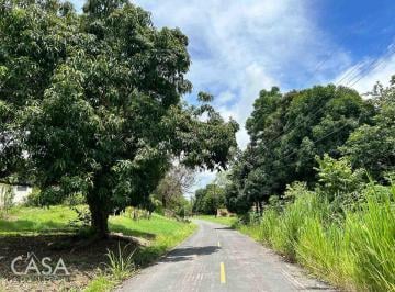 Terreno / Lote , San Carlos · Lote Plano de 14,644 m² en Venta en Las Uvas, Panamá – Ideal Para Proyectos Agrícolas o Turísticos